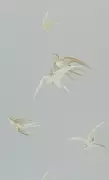 Thumb_dviwsw104_1