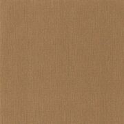 Thumb_10156_23_20_bfm_1