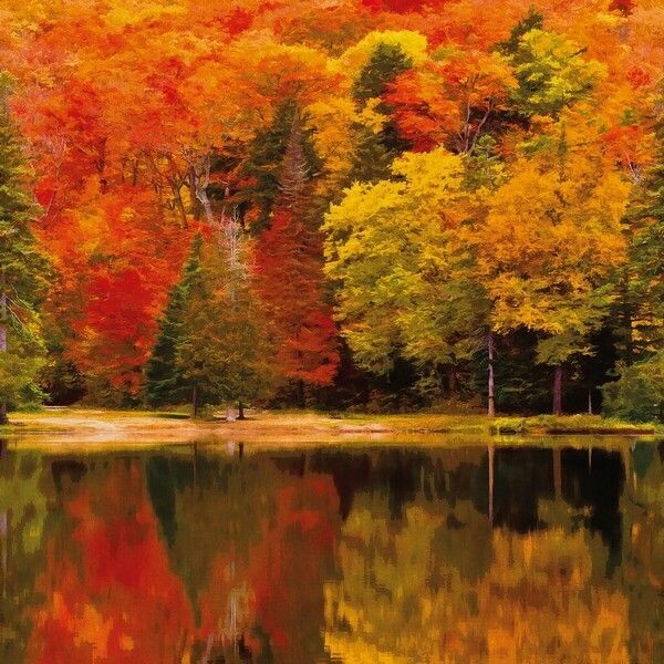 Big_8710_38_13_bfma_1