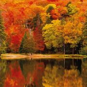 Thumb_8710_38_13_bfma_1