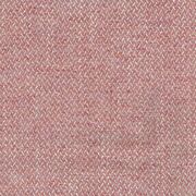 Thumb_4424_02_ncf_1