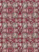 Thumb_4410_04_ncf_1