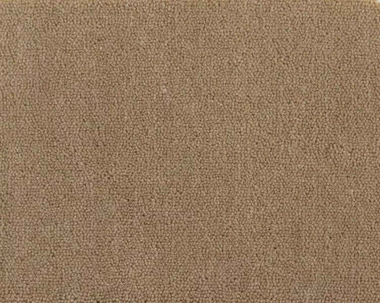 Big_heritage_1544_tan_1