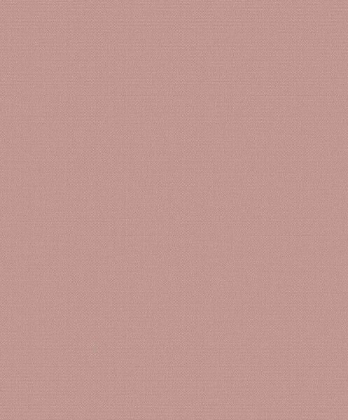 Big_8207_45_02_bfma_1