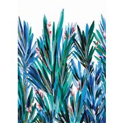 Thumb_8526_64_11_bfma_1