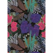 Thumb_10249_47_09_bfm_1