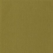 Thumb_10156_77_00_bfm_1