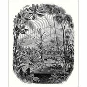 Thumb_10239_90_00_bfm_1