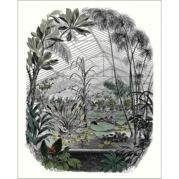 Big_10239_70_70_bfm_1