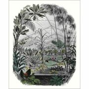 Thumb_10239_70_70_bfm_1