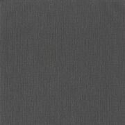 Thumb_10156_95_82_bfm_1