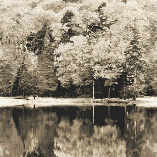 Big_8710_95_14_bfma_1