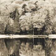 Thumb_8710_95_14_bfma_1