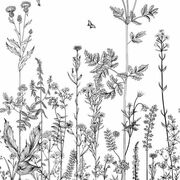 Thumb_10131_91_04_bfm_1