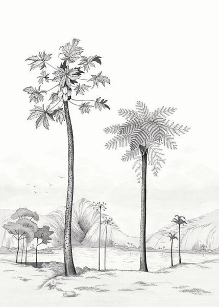 Big_8437_93_53_bfma_1