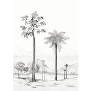 Thumb_8437_93_53_bfma_1