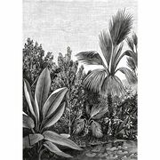 Thumb_10205_90_18_bfm_1