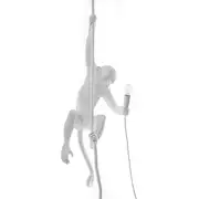 Thumb_podvesnoy_svetilnik_monkey_lamp_ceiling_1