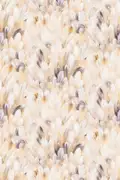 Thumb_etd5_003_1