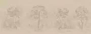 Thumb_etd9_003_1