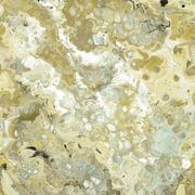 Thumb_8706_25_06_bfma_1