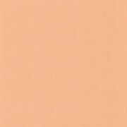 Thumb_10156_41_35_bfm_1