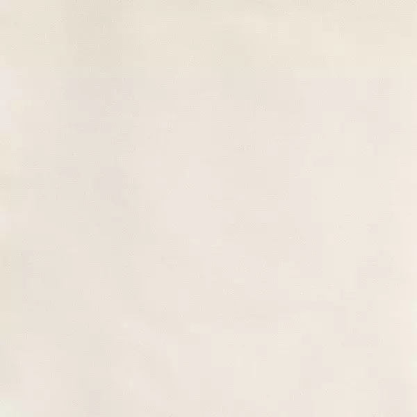 Big_t21018_003_1