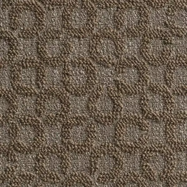 Big_t21008_005_1