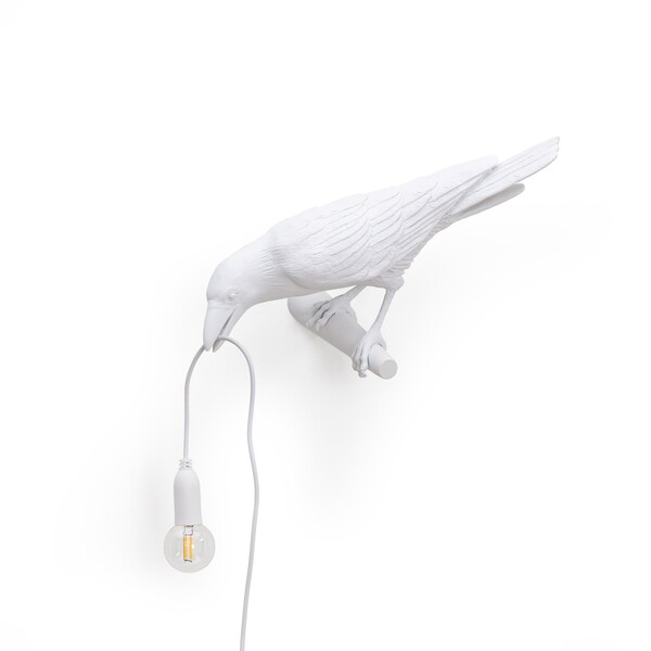 Big_nastennyy_svetilnik_bird_looking_left_white_1