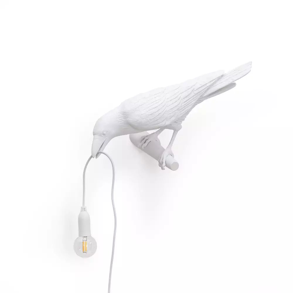 Big_nastennyy_svetilnik_bird_looking_left_white_1