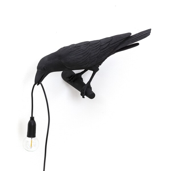 Big_nastennyy_svetilnik_bird_looking_left_black_1