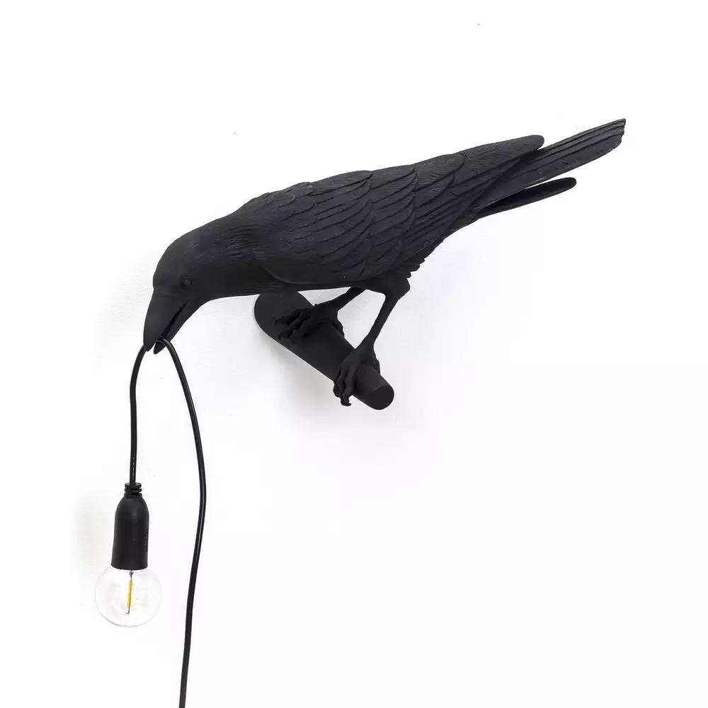 Big_nastennyy_svetilnik_bird_looking_left_black_1