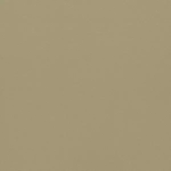 Big_133598_1