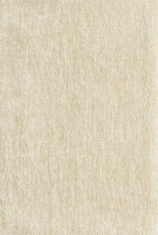 Big_t14040_004_1