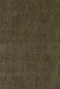 Thumb_t14040_037_1