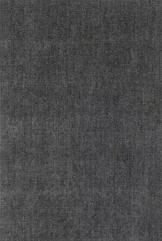Big_t14040_013_1