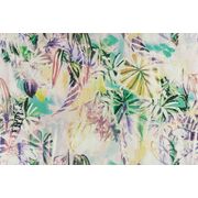 Thumb_14668_804_1