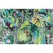 Thumb_14668_814_1