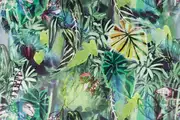 Thumb_14668_814_1
