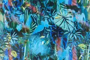 Thumb_14668_801_1