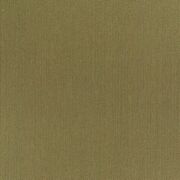 Thumb_1_1359_031_1