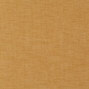Thumb_ja6002_041_1