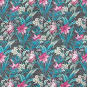 Thumb_ja8010_050_1