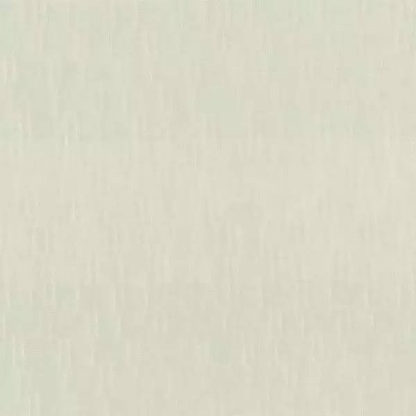 Big_suora_yp21005_1