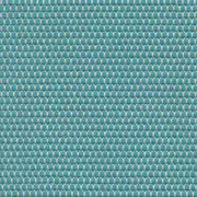 Thumb_bindirin_yp19006_1