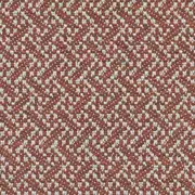 Thumb_paringa_yp19004_1
