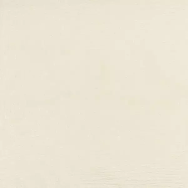Big_kami_yp21004_1
