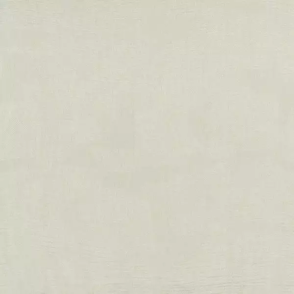 Big_kami_yp21003_1