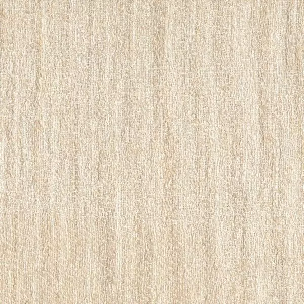 Big_isho_yp21003_1