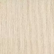 Thumb_isho_yp21003_1